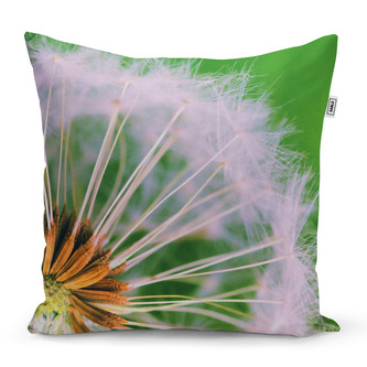Polštář Odkvetlé pampelišky 3: 60x60 cm