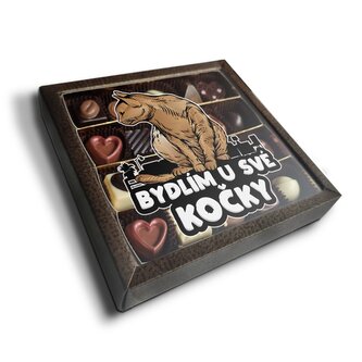 Pralinky Bydlím u své kočky: 20 ks pralinek