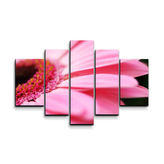 Obraz - 5-dílný Růžová gerbera: 125x90 cm
