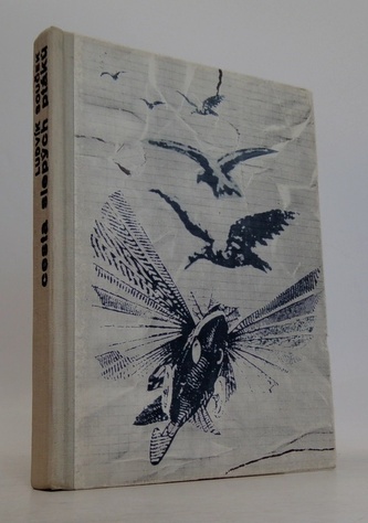 Cesta slepých ptaků