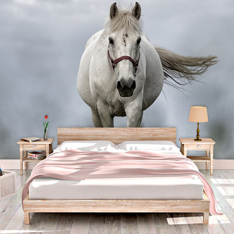 Tapeta Bílý kůň 3: 125x75 cm Tapeta Bílý kůň 3: 125x75 cm