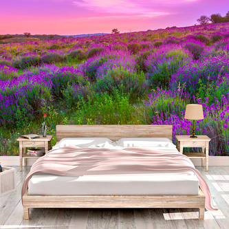 Tapeta Levandulové pole 2: 125x75 cm
