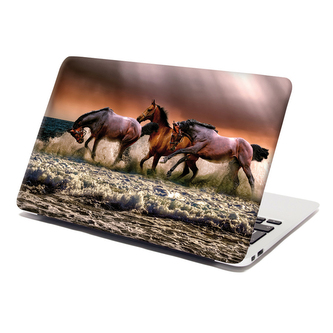 Samolepka na notebook Koně ve vodě: 38x26 cm