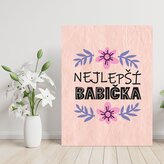 Dárková cedulka Nejlepší babička: 30x40 cm