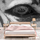 Tapeta Oko zebry: 336x220 cm