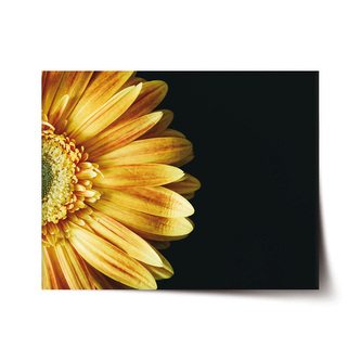 Plakát žlutá gerbera: 60x40 cm