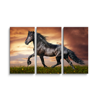 Obraz - 3-dílný Friský kůň: 120x80 cm Obraz - 3-dílný Friský kůň: 120x80 cm