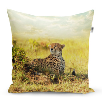 Polštář Gepard: 60x60 cm