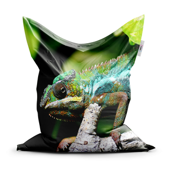 Sedací vak Chameleon: 150x100 cm