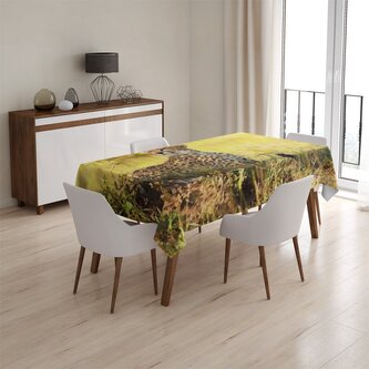 Ubrus Gepard: 145x240 cm