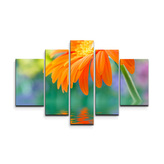 Obraz - 5-dílný Oranžová gerbera: 125x90 cm