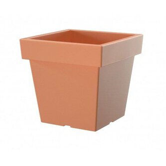 květ. LOFLY LOW DLOFL 200 terakota R624