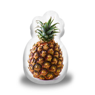 3D polštář ve tvaru Ananas