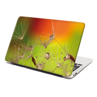 Samolepka na notebook Odkvetlé pampelišky: 29x20 cm