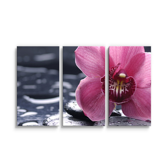 Obraz - 3-dílný Orchidej: 120x80 cm Obraz - 3-dílný Orchidej: 120x80 cm