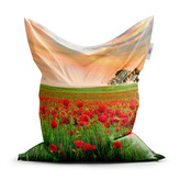 Sedací vak Pole vlčích máků 2: 150x100 cm