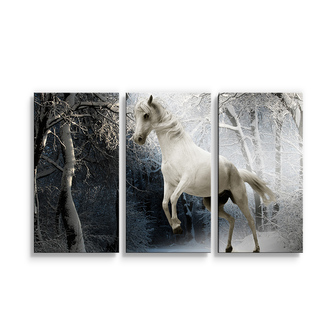 Obraz - 3-dílný Bílý kůň: 120x80 cm
