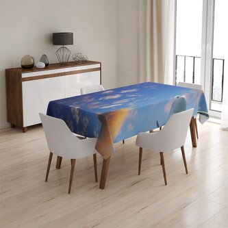 Ubrus Letadlo 2: 145x240 cm