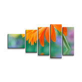 Obraz - 5-dílný Oranžová gerbera: 100x60 cm