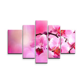 Obraz - 5-dílný Květy orchideje: 125x90 cm