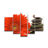 Obraz - 5-dílný Gerbera s kameny: 125x90 cm
