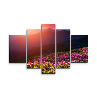 Obraz - 5-dílný Rozkvetlá příroda: 125x90 cm