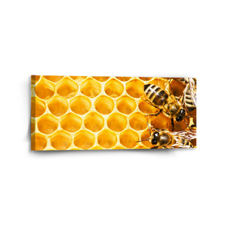 Obraz Včely: 110x50 cm
