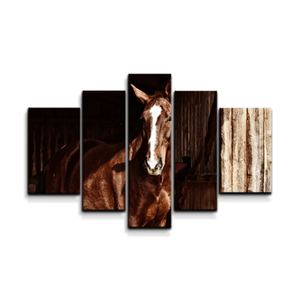 Obraz - 5-dílný Kůň ve stáji: 125x90 cm Obraz - 5-dílný Kůň ve stáji: 125x90 cm