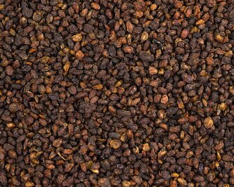 Bylinný čaj Rakytník plod - celý (Hippophae) 200 g