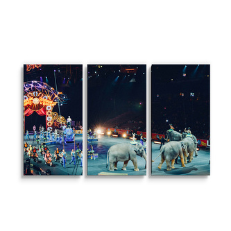 Obraz - 3-dílný Cirkus: 120x80 cm