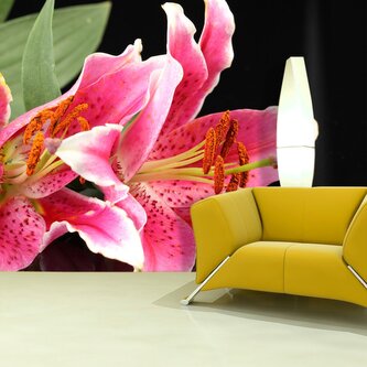 Tapeta Lilie: 336x220 cm