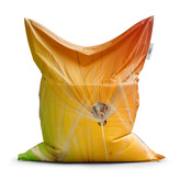 Sedací vak Odkvetlé pampelišky 2: 150x100 cm