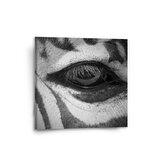 Obraz Oko zebry: 50x50 cm