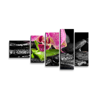 Obraz - 5-dílný Orchidej na kamenech: 100x60 cm