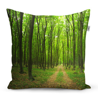 Polštář Cesta v lese: 50x50 cm