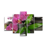 Obraz - 5-dílný Orchideje a kameny: 125x90 cm