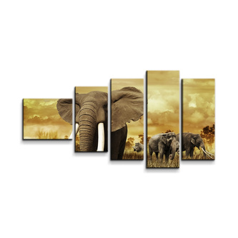 Obraz - 5-dílný Slon Africký: 100x60 cm