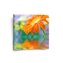 Obraz Oranžová gerbera: 50x50 cm