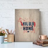 Dárková cedulka Miluji koně: 30x40 cm