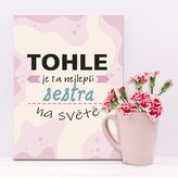 Dárková cedulka Tohle je ta nejlepší sestra na světě: 30x40 cm