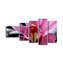 Obraz - 5-dílný Růžová orchidea: 100x60 cm