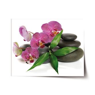 Plakát Orchideje a kameny: 60x40 cm
