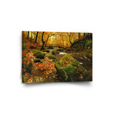 Obraz Most v lese: 90x60 cm
