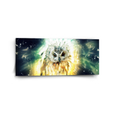 Obraz Sova: 110x50 cm