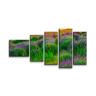 Obraz - 5-dílný Levandulové pole: 100x60 cm