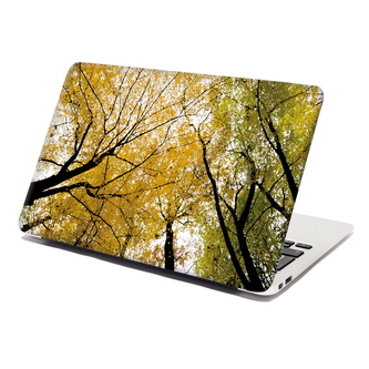 Samolepka na notebook Koruny stromů: 29x20 cm