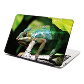 Samolepka na notebook Chameleon: 38x26 cm