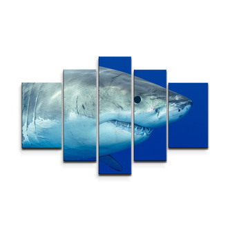 Obraz - 5-dílný Žralok: 125x90 cm Obraz - 5-dílný Žralok: 125x90 cm