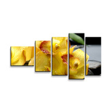 Obraz - 5-dílný Žluté orchideje: 100x60 cm