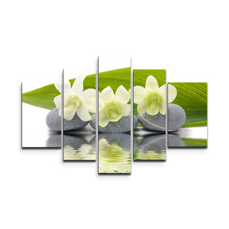 Obraz - 5-dílný Bílá orchidej: 125x90 cm